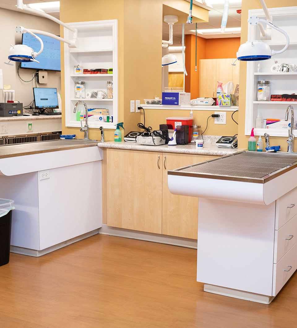 Westmonte Animal Clinic dental area
