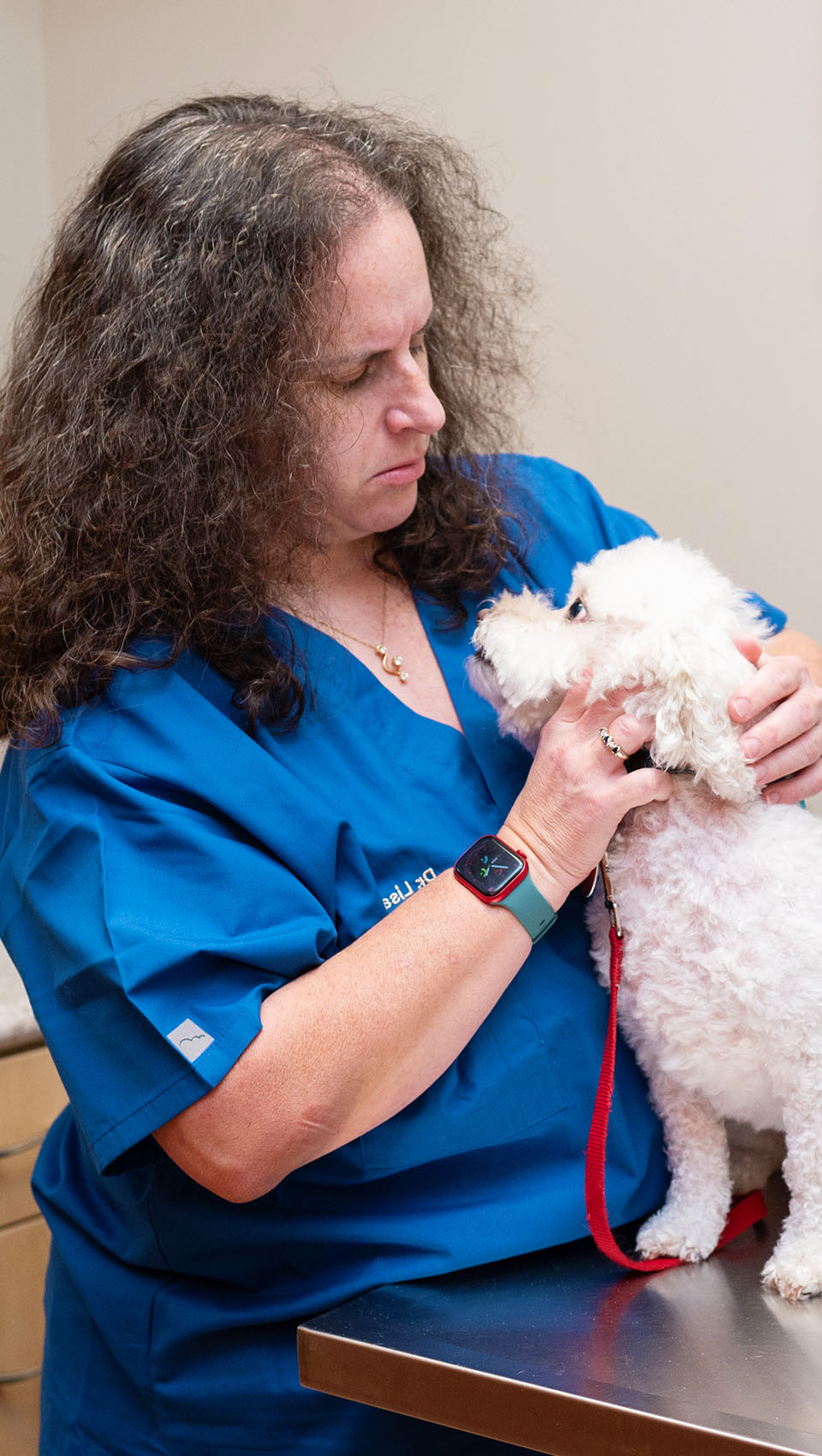Dr. Matagrano checking white dog's skin