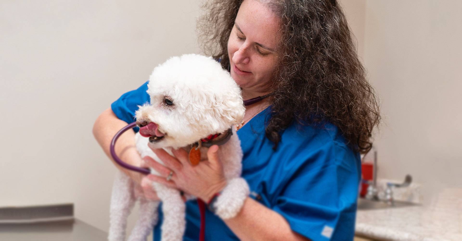 dr matagrano holding furry white dog