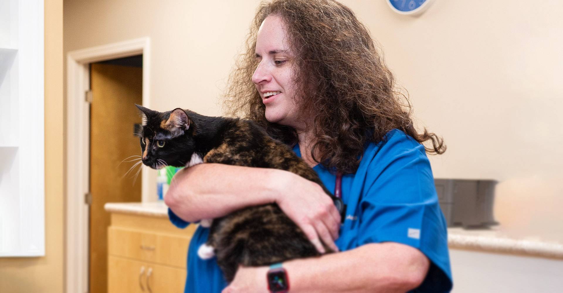 dr matagrano holding tricolor cat