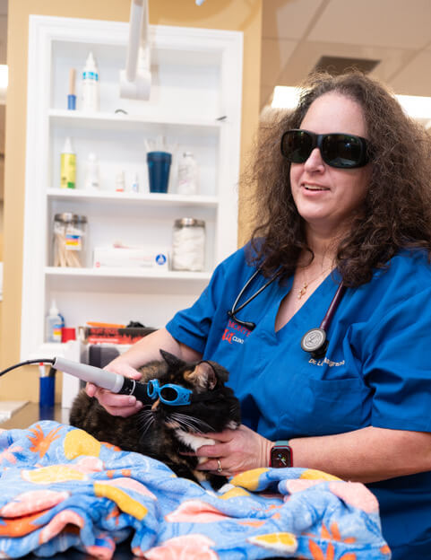 pet clinic in altamonte springs florida