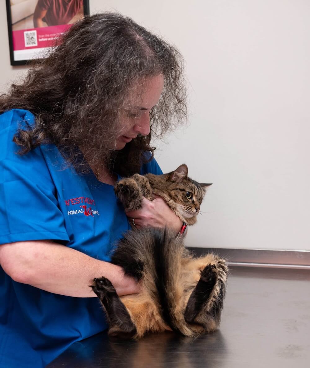 About Westmonte Animal Clinic