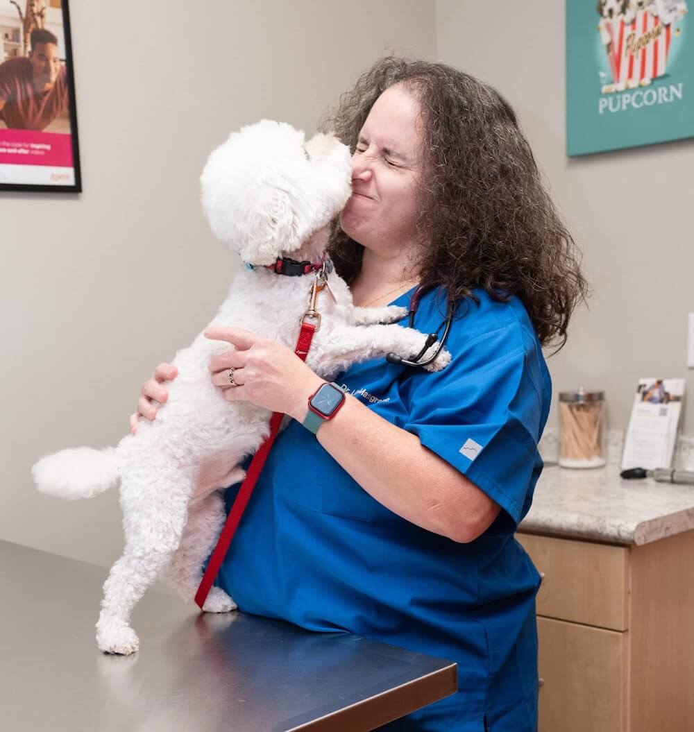 About Westmonte Animal Veterinarian