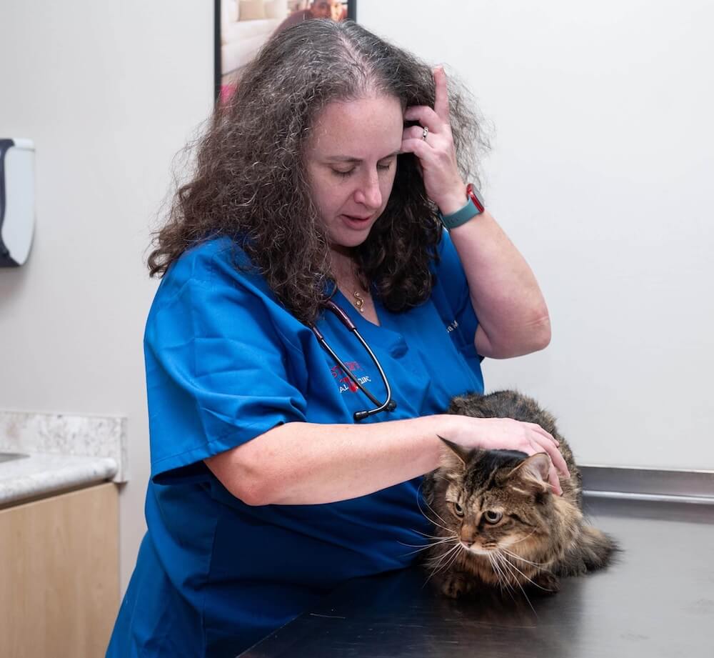 Emergency care kittens