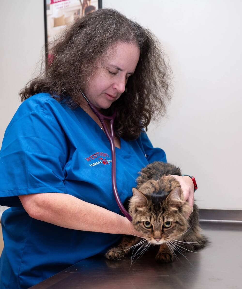casselberry Vet