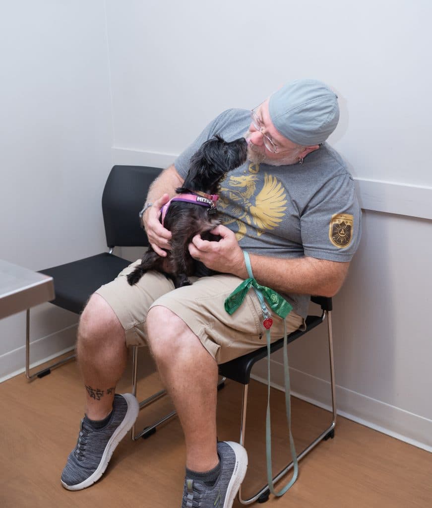 dog end of life care