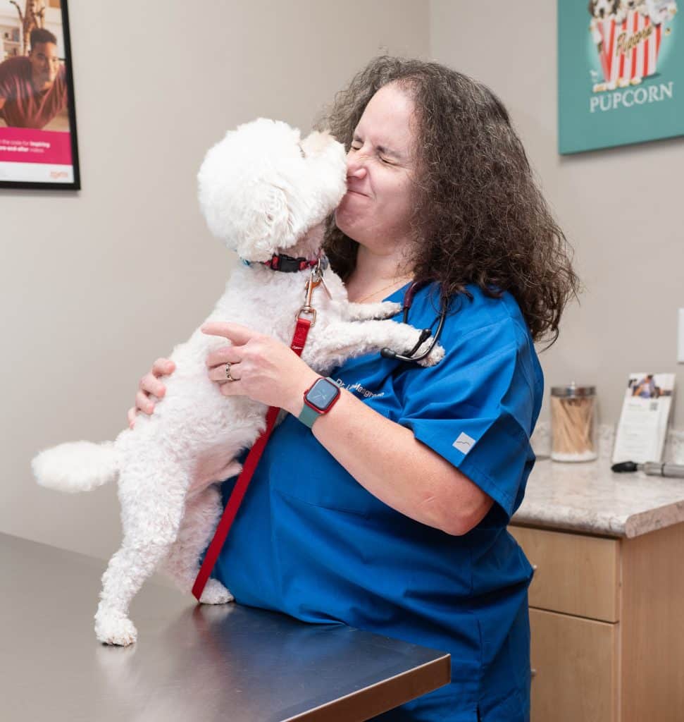 Dog Services