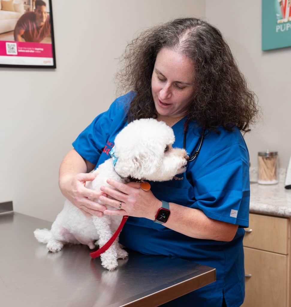 euthanasia assistance