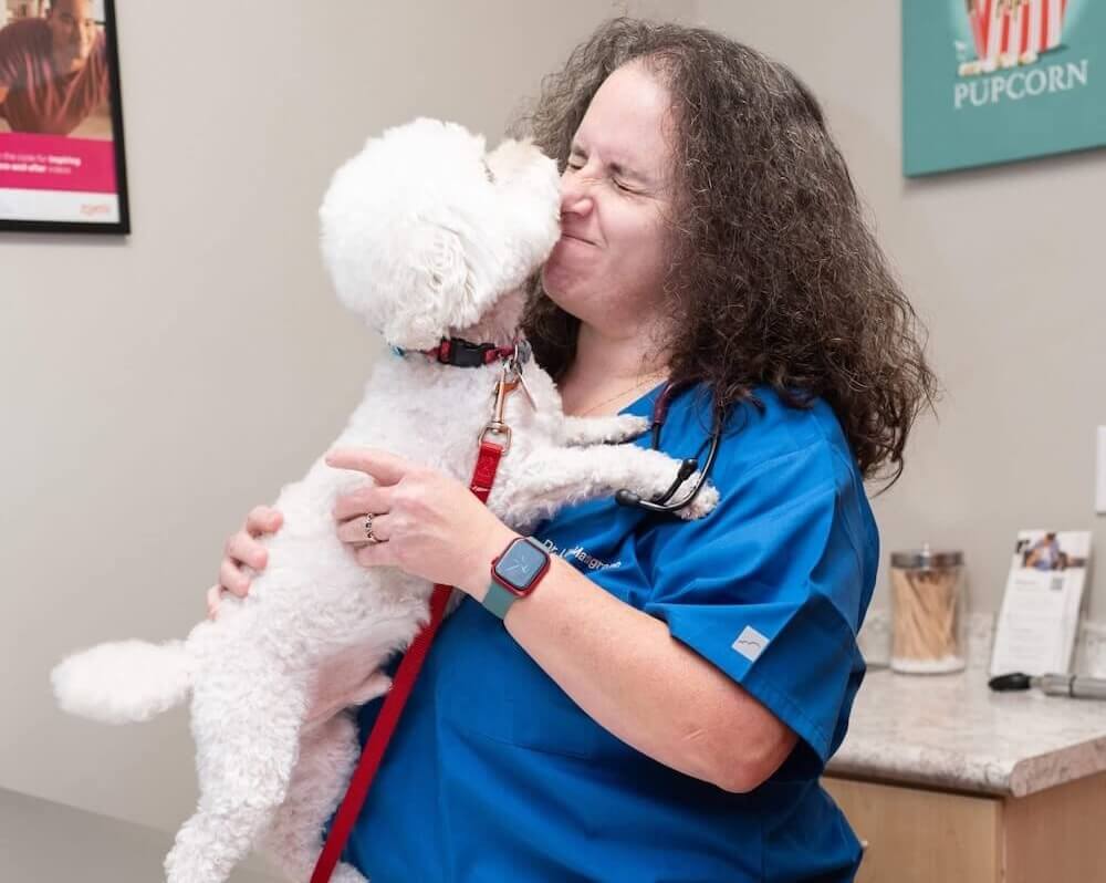 vet in Maitland