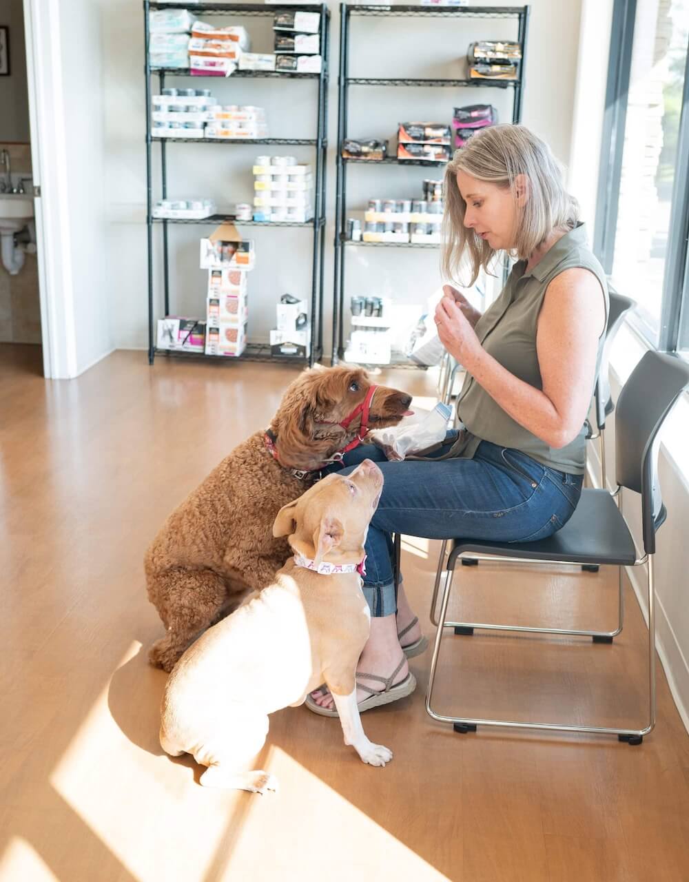 vet services in winter park