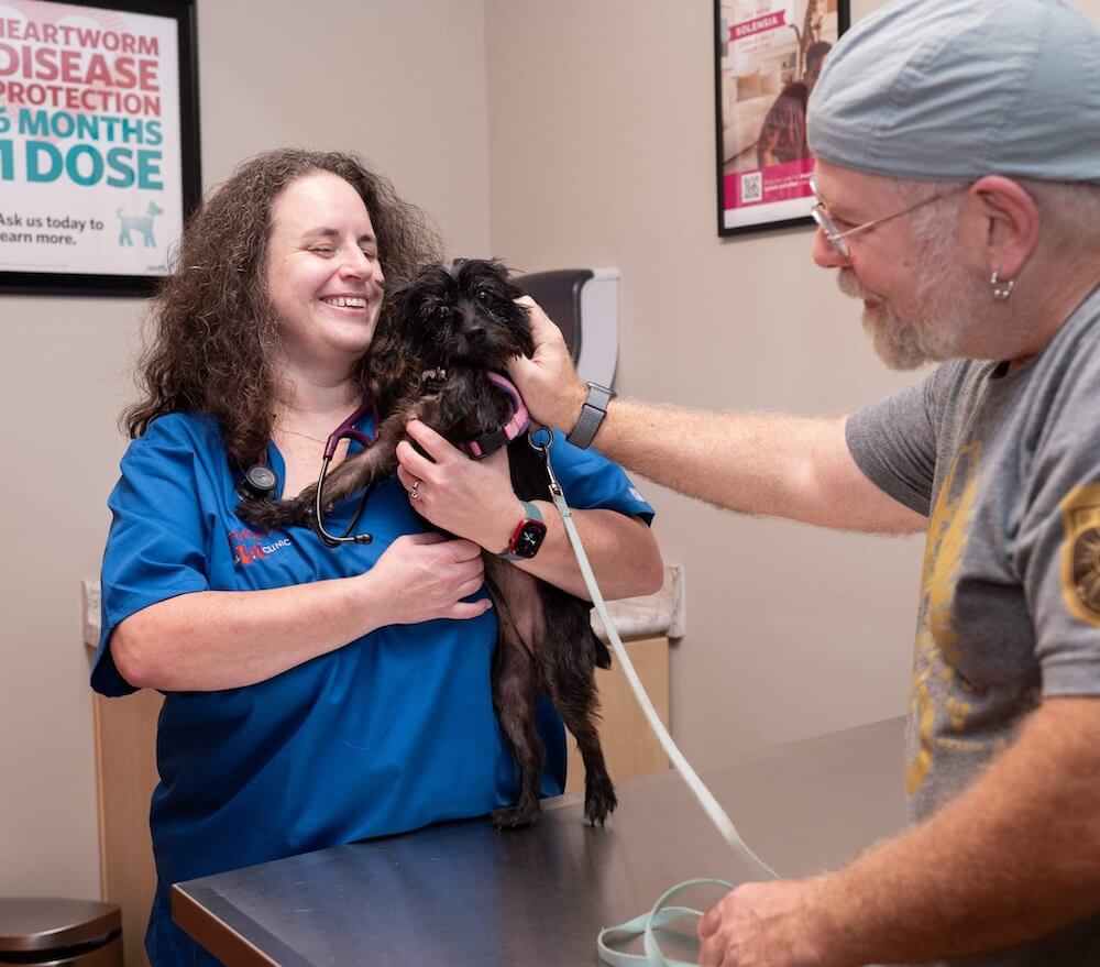 Winter park vet