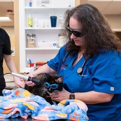 Laser Therapy